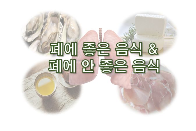 폐에 좋은 음식과 나쁜 음식 정보 글 사진