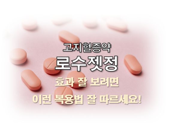 로수젯정 고지혈증약 효과 복용법