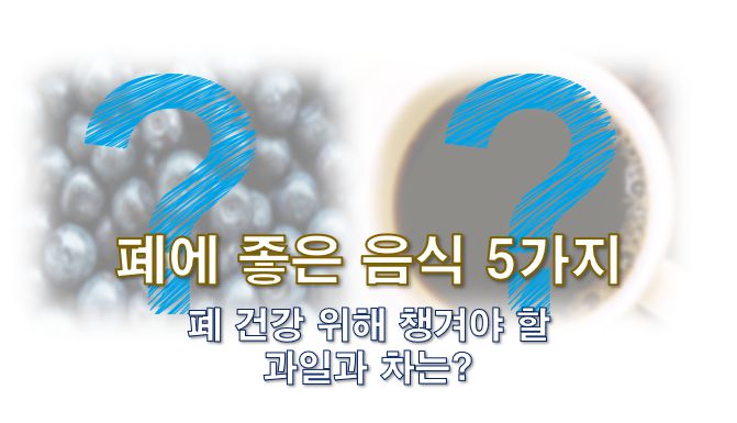 폐에 좋은 음식 5가지 사진