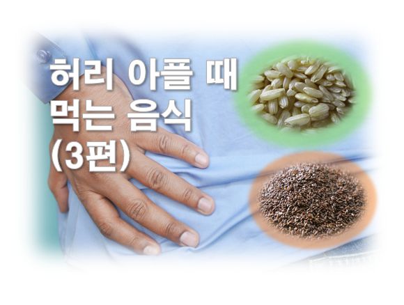 허리아플때먹는음식