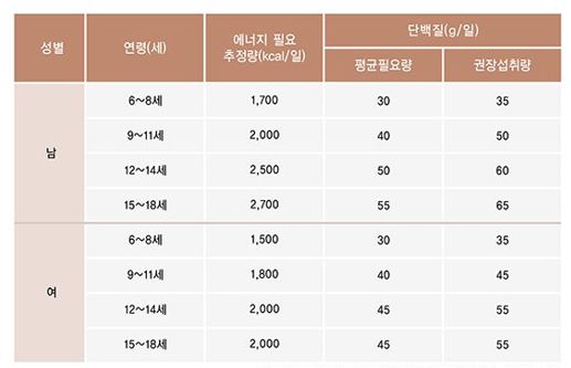 소아 청소년 에너지 및 단백질 섭취 기준 