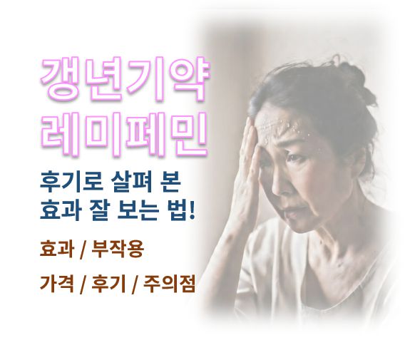 갱년기약 레미페민글 사진
