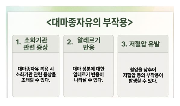 대마종자유 부작용 슬라이드
