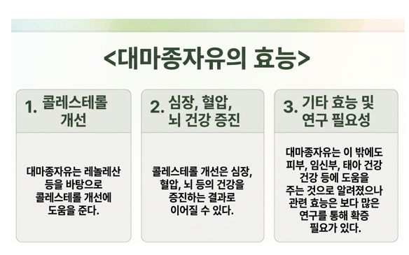 대마종자유 효능을 정리한 슬라이드