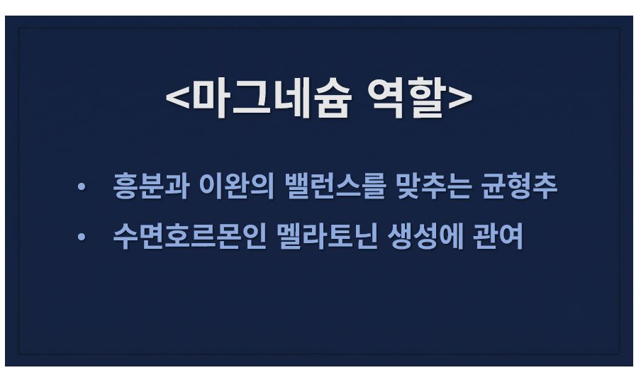마그네슘이 수면에 미치는 영향 슬라이드
