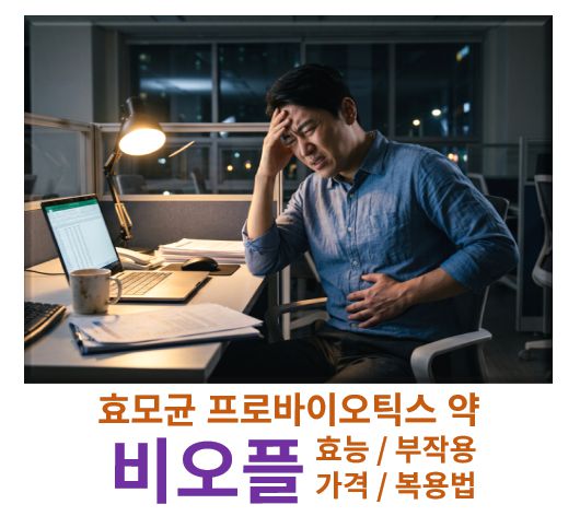 프로바이오틱스 효모균 비오플 효능 부작용 복용법 주의사항 정보 글 커버 사진