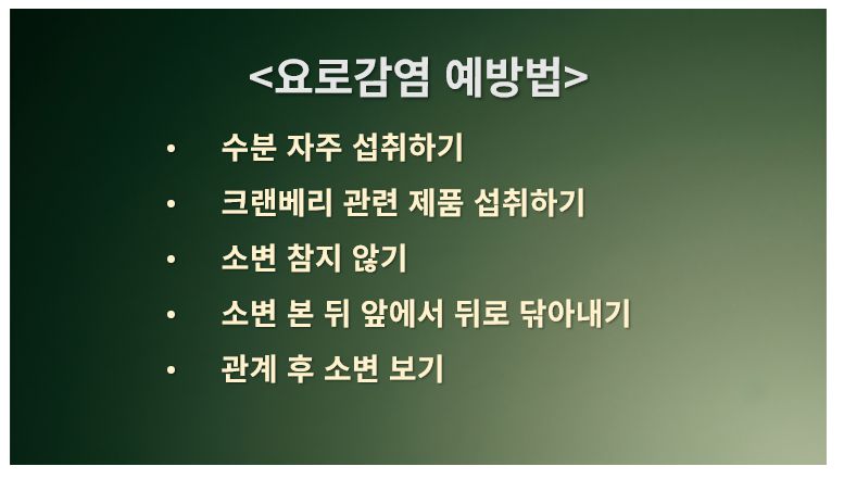자디앙 요로감염 부작용 대처법 정리 슬라이드