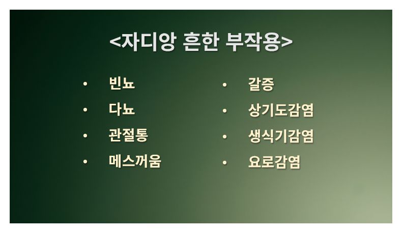 자디앙 흔한 부작용 정리 슬라이드