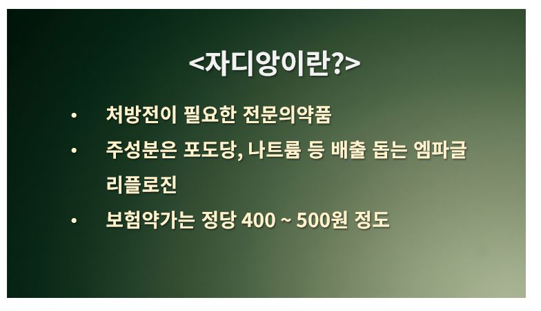 자디앙 분류 성분 가격 정리 슬라이드