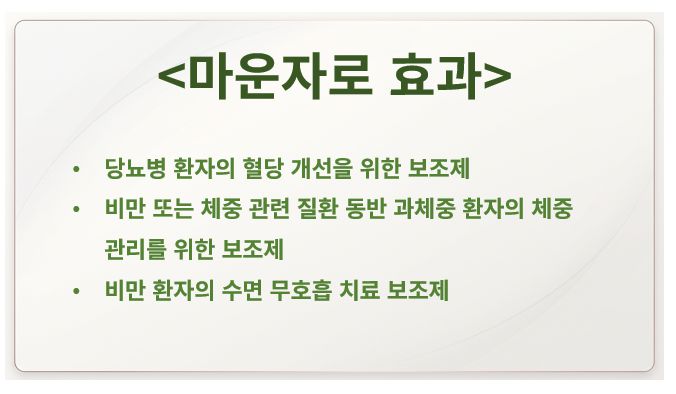 마운자로 효과 정리 슬라이드