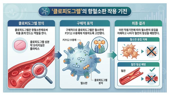 항혈전제 플라빅스 주성분 클로피도그렐 작용기전