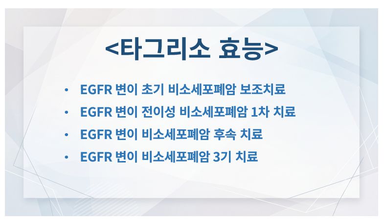 EGFR 표적항암제 타그리소 효능 정보 슬라이드