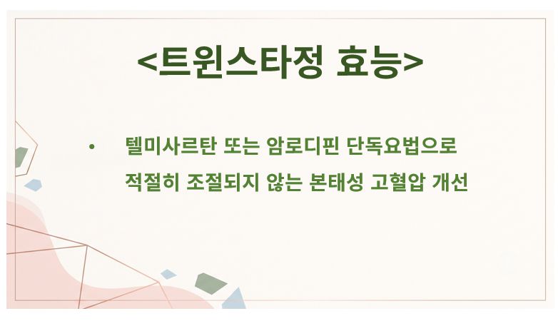 트윈스타정 효능 정리 슬라이드