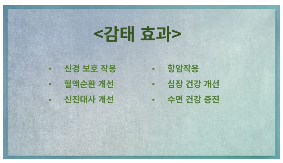 감태 효과 정리 슬라이드