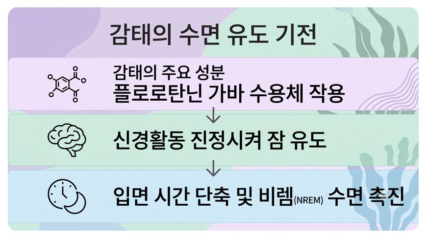 감태의 수면 유도 작용기전 정리 인포그래픽