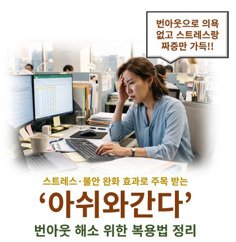 아쉬와간다(아슈와간다) 효능 부작용 복용법 정보 글 커버 사진