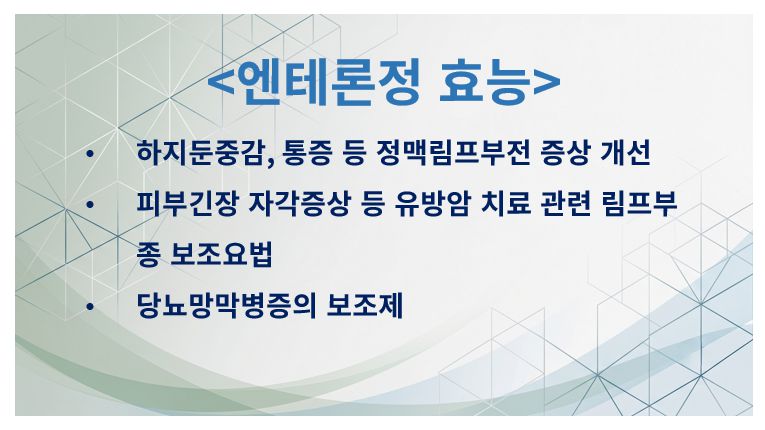 엔테론정 효능 정리 슬라이드