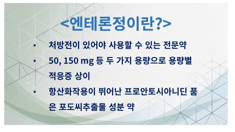 엔테론정 분류 용량 주성분 설명 슬라이드
