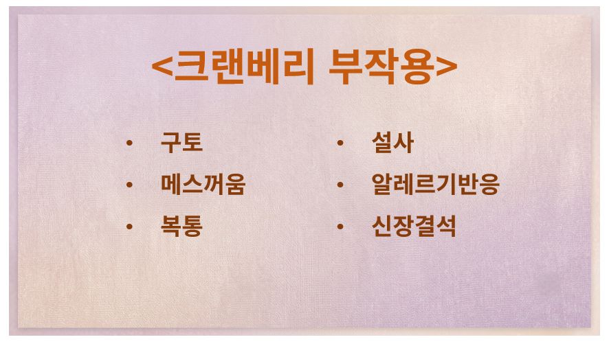 크랜베리 부작용 증상 정리 슬라이드