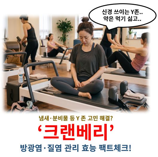 크랜베리 요로감염 질염 등 Y존 고민 관리 효능 부작용 복용법 정리 글 커버 사진