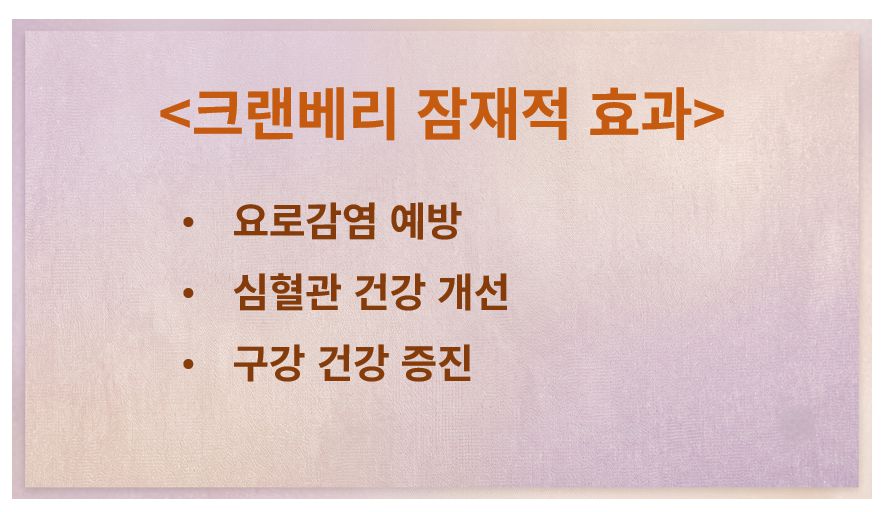 크랜베리 효과 정리 슬라이드