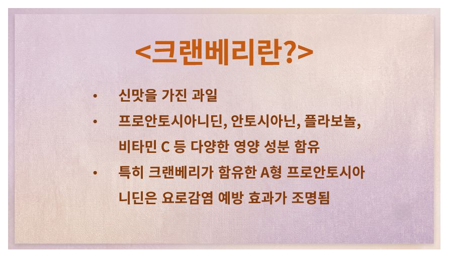크랜베리 정의 주요 성분 정리 슬라이드