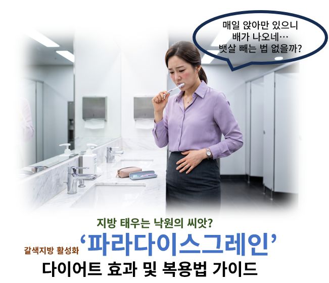 파라다이스그레인 효능 부작용 다이어트 영향력 분석 정보 글 커버 사진