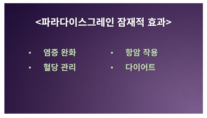 파라다이스그레인 잠재적 효과 정리 슬라이드