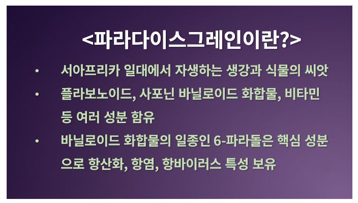 파라다이스그레인 정의 주요 성분 정리 슬라이드