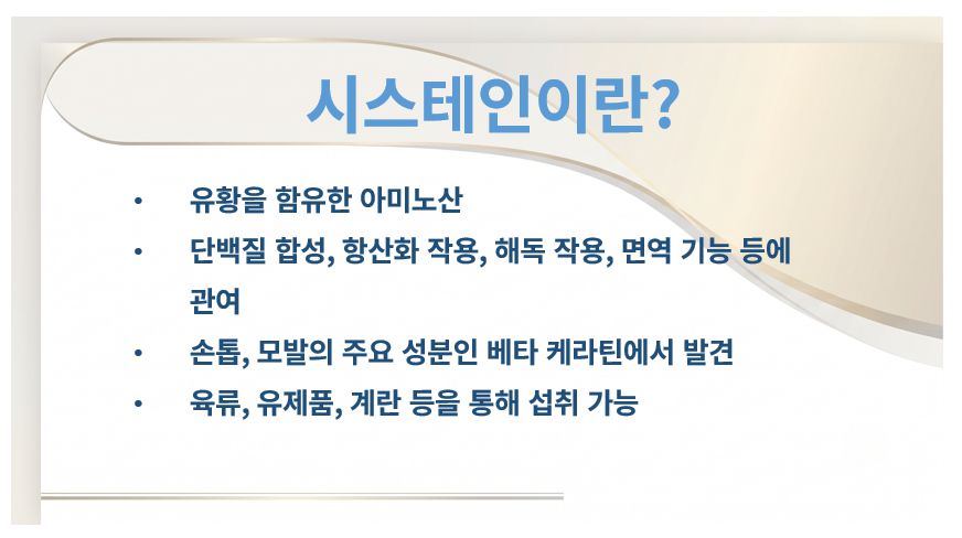 시스테인 정의 역할 출처 등 정리 슬라이드