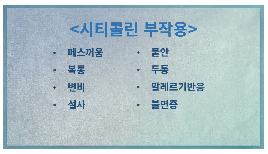 시티콜린 부작용 정리 슬라이드