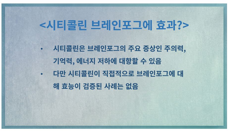 시티콜린 브레인포그 효과 슬라이드
