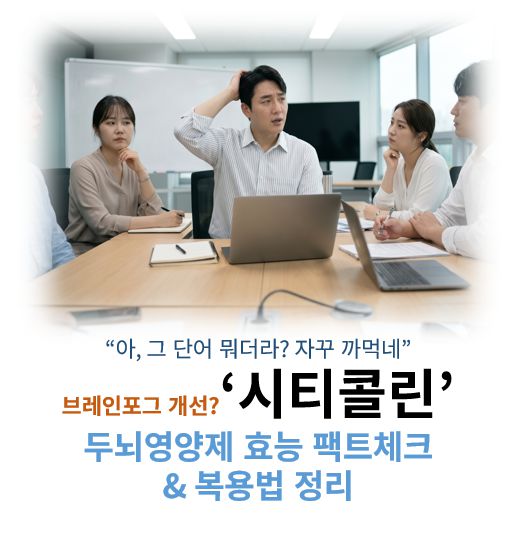 시티콜린 효능 부작용 복용법 브레인포그 효과 검증 정보 글 커버 사진