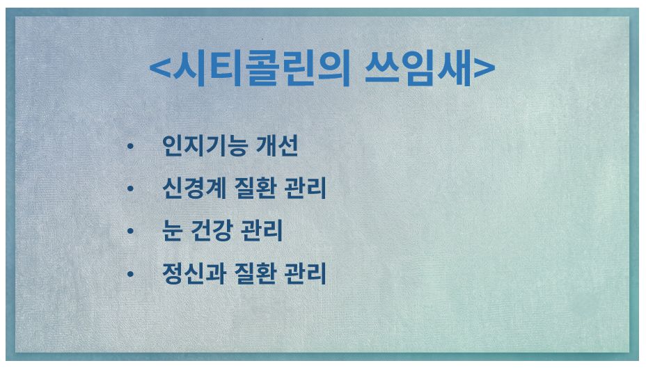 시티콜린 효능 슬라이드