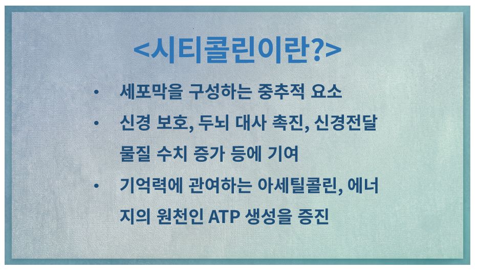 시티콜린 정의 슬라이드