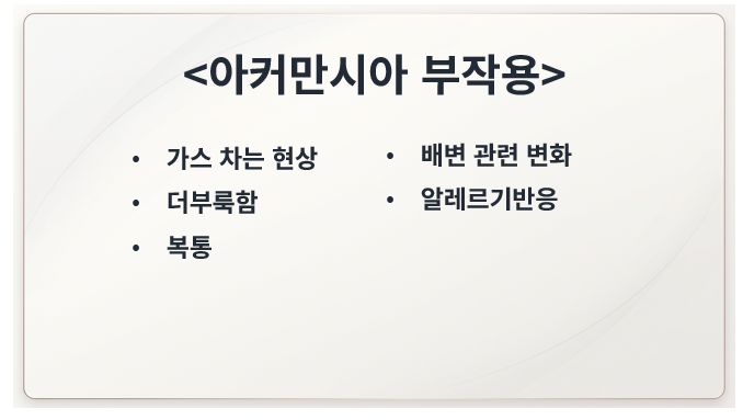 아커만시아 부작용 증상 정리 슬라이드