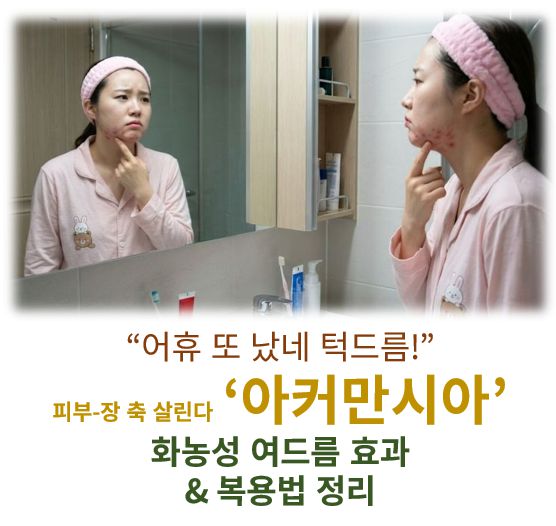 아커만시아 효능 부작용 복용법 상호작용 여드름 관련 효능 분석 정보 글 커버 사진