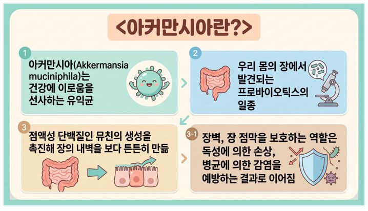 아커만시아 정의를 담은 인포그래픽