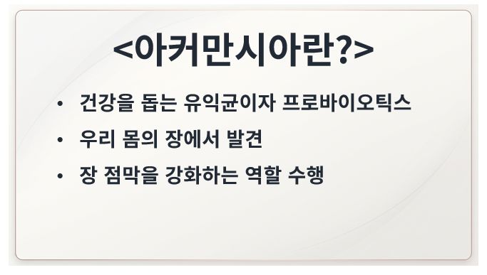 아커만시아 정의 슬라이드